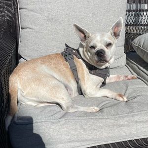 Meet your Posher, Matthew